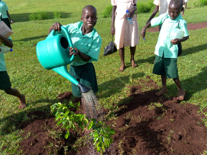 Kitti Community Mobilization for Environmental Preservation